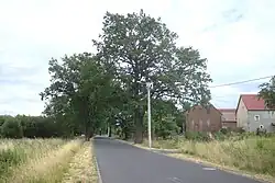 Houses by the road