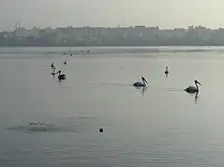 Madiwala lake