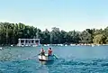 Row boats in 1968