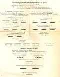 Combined Division Flies in the Prussian Main Army 1866
