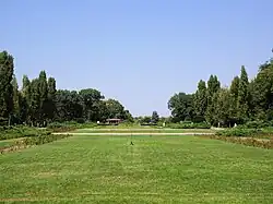Green lawn