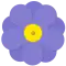 1951