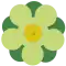 2000