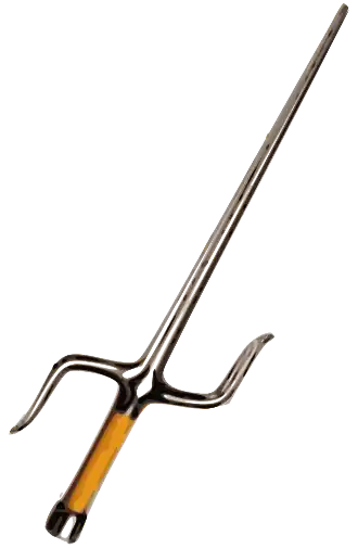 A modern manji sai