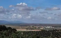 Overview