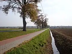 Korzeniewska Street, bicycle and pedestrian path
