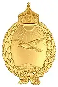 badge for navy pilots from seaplanes 1913