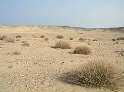 Image 48Desert scene in Egypt (from Habitat)