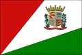 Flag of Mato Leitão