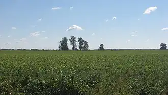 Mayberry Mound and Village Site