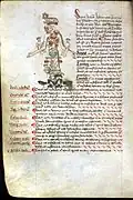 Medical Zodiac Man