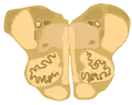 Cross-section of the rostral (superior) medulla