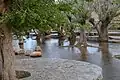 Gharbalbiz spring
