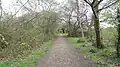 Merton Park Green Walks
