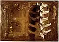 Spine on a Drawing Board