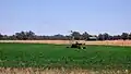 Impact irrigation at Millwood