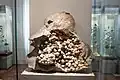Mineral exhibit
