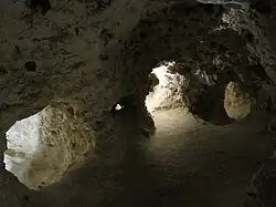 Flint mines of Champ à Cailloux