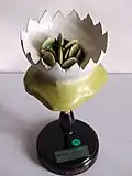 Gemmae cup