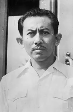Portrait of Roem