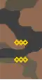 Mongolian Army-SGT-field 1998-2011