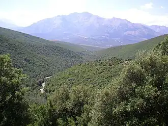 Monte Cardo