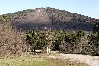 Monte Cocusso
