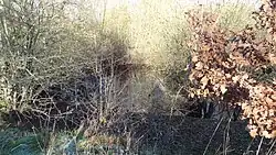 Moor Mill Quarry