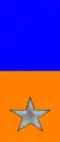 209th, 210th Regiment "Bisagno"