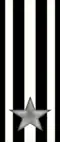 65th, [66th] Rgt. "Valtellina" ("Trieste")