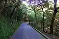 Mount Austin Road near Peak Park