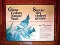 Giant Cedars Boardwalk Trail