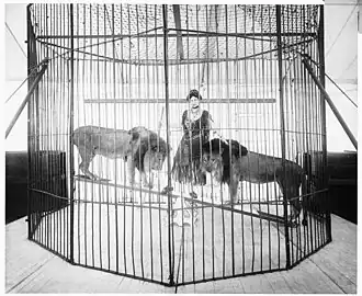 Mrs. Dwyer on seesaw with two lions 1917
