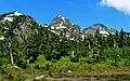 Mt. Hermann