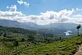 View from Chinnakanal