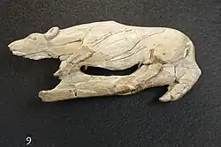 Magdalenian propellant carved in bone found at La Madeleine