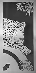 Leopard (Panthera pardus pardus), with spekboom (Portulacaria afra) at the lower right and candelabra lily (Brunsvigia josephinae) at the lower left