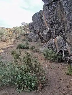Rimrock Draw Rockshelter