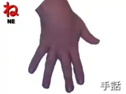 指文字: ね NE