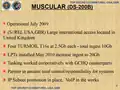 Slide from NSA SSO presentation detailing the MUSCULAR capabilities