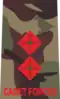 Lieutenant