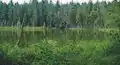 Nabudi lake