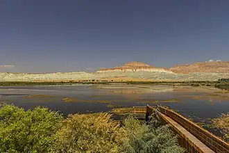 Nallıhan Bird Paradise Sanctuary