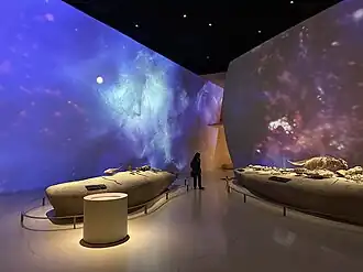 Wall Audio Visuals
