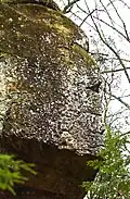 Stone formation.