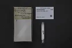 Specimen