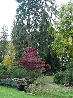 Autumn in the park