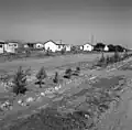 Netavim in 1958