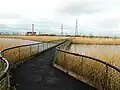Floating walkway facing northwards