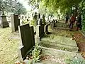 Daalseweg cemetery, two rows of war victim graves 22-02-'44